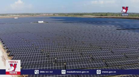 Sớm xử lý vi phạm với dự án điện mặt trời