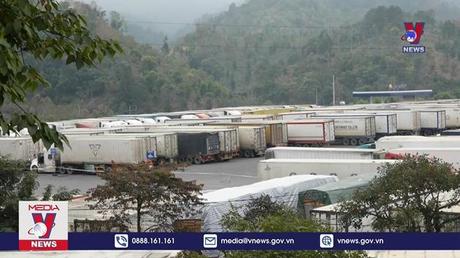 Còn hơn 1.100 xe rau quả nằm chờ thông quan