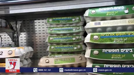 Israel thiếu hụt trứng gia cầm do xung đột tại Ukraine