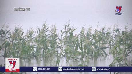 Khắc phục hậu quả mưa lũ bất thường ở Quảng Trị  