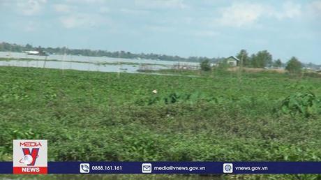 Đồng Tháp khó khăn trong quản lý đất bãi bồi ven sông