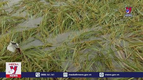 Cập nhật thiệt hại do mưa lũ