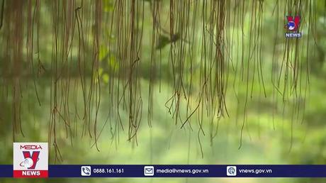 Khách quốc tế đến Việt Nam tăng trưởng tốt 