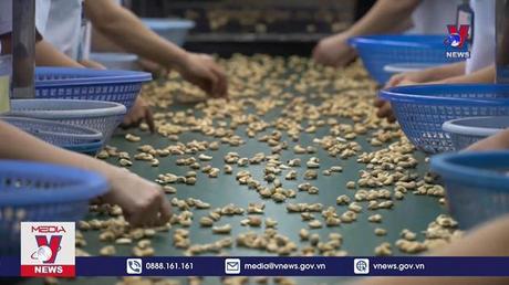 Xuất khẩu điều tăng mạnh sau hai tháng tăng trưởng âm