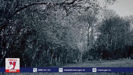 Hồ sơ mật: Kẻ giết người máu lạnh Joachim Kroll - Tập 1