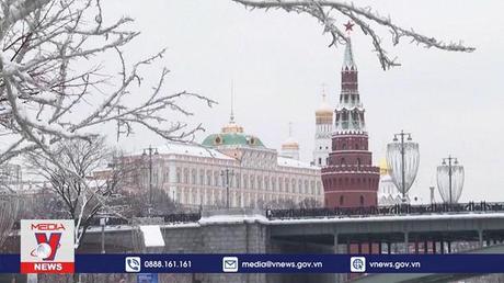 Liên đoàn Arab tìm kiếm giải pháp ngoại giao cho cuộc khủng hoảng Ukraine