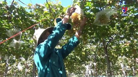 Khoa học công nghệ ngày 07/4/2022 