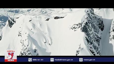 Ảnh thu hoạch cỏ bàng đoạt giải nhất quốc tế