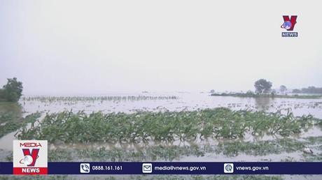 Nhiều tỉnh miền Trung nguy cơ mất trắng vụ Đông Xuân