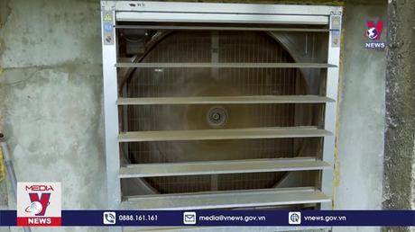 HTX không bán điện sản xuất khiến nhiều hộ dân chịu thiệt    