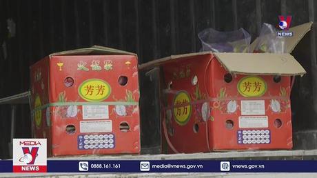 Thanh long Việt Nam tại Trung Quốc tăng giá 