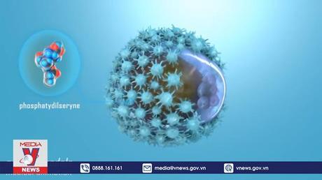 Nguyên nhân khiến tế bào ung thư di căn