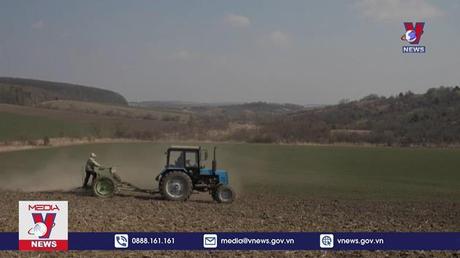 “Cuộc chiến” trên những cánh đồng Ukraine