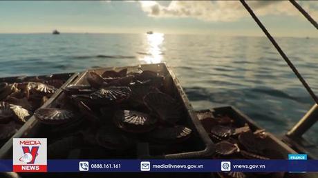 Anh và Pháp đạt tiến triển trong vấn đề quyền đánh bắt cá