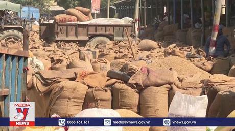 Giới chuyên gia đề xuất cách thức giải quyết tình trạng thiếu lương thực