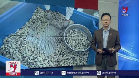 Nhuyễn thể được xuất khẩu tới 42 nước