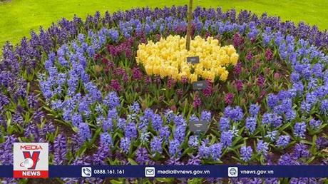 Vườn hoa Keukenhof, Hà Lan mở cửa trở lại