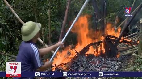 Tuyên Quang chủ động ứng phó với nguy cơ cháy rừng