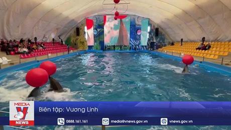 Show diễn cá heo mang lại niềm vui cho trẻ di cư Ukraine