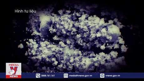 Nhật Bản theo dõi sát biến thể tái tổ hợp XE