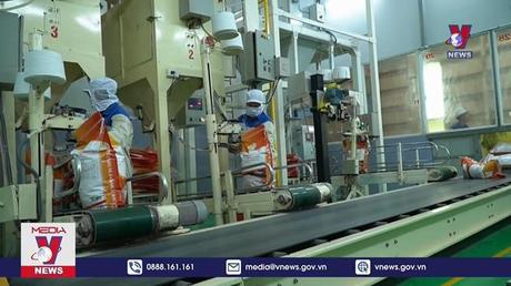 Giá gạo xuất khẩu duy trì vị trí dẫn đầu