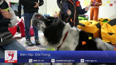 Chó giúp an ủi trẻ em Ukraine