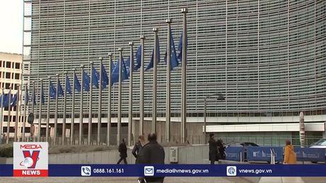 Liên hợp quốc đề xuất cơ chế ngăn ngừa sự cố khủng hoảng Ukraine