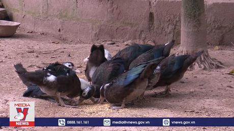 Hà Nam hỗ trợ người khuyết tật vươn lên trong cuộc sống