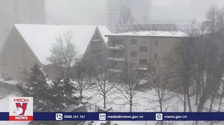 Cháy rừng và bão tuyết trái mùa tại Mỹ, Canada