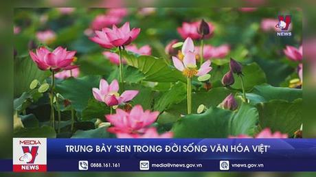 Trưng bày ''Sen trong đời sống văn hóa Việt''