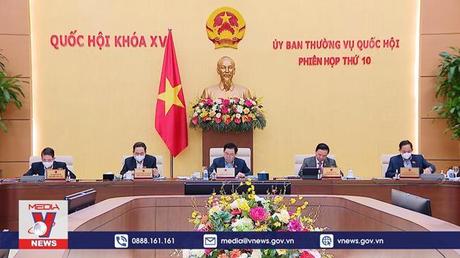 Cho ý kiến về Chương trình xây dựng luật, pháp lệnh