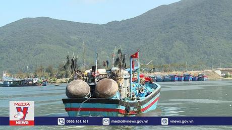 Ngư dân tấp nập vươn khơi