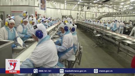 Trung Quốc cấm nhập khẩu thịt từ ba công ty của Brazil