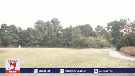 Trung Quốc khánh thành Vườn Bách thảo quốc gia