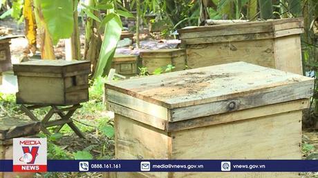 Mỹ giảm mức thuế chống bán phá giá với mật ong Việt Nam