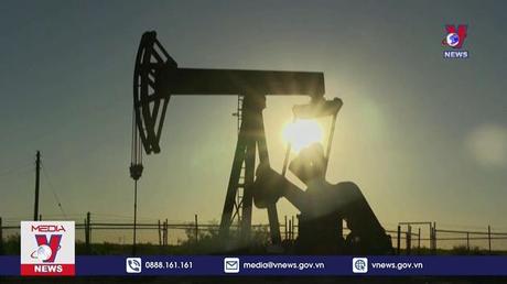  IMF hạ dự báo tăng trưởng toàn cầu