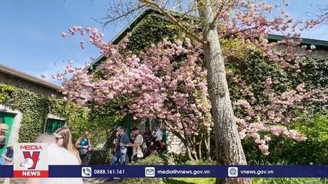 Nhà vườn của danh họa Claude Monet mở cửa trở lại