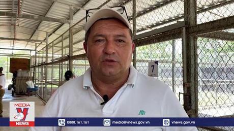 Động vật cũng ăn kem để hạ nhiệt