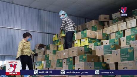 Lào Cai tìm hướng đi mới cho mặt hàng nông sản 