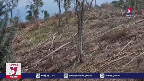 Trên 18,6 ha rừng tự nhiên bị chặt hạ ở Đakrông