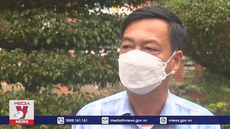 Bệnh khảm lá trên cây sắn bùng phát tại Nghệ An