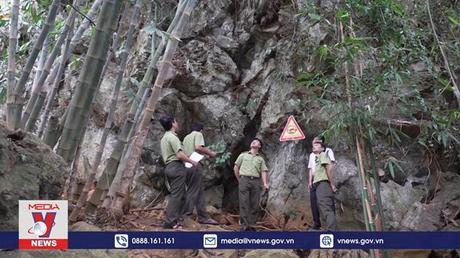 Bảo vệ quần thể khỉ vàng và động vật hoang dã trên núi đá Khụ Tang