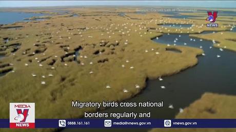 Ứng dụng mới giúp bảo vệ thế giới loài chim