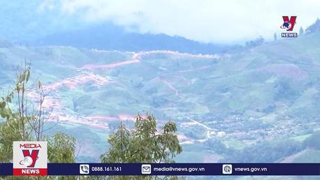 Đưa Tu Mơ Rông trở thành vùng trọng điểm phát triển sâm Ngọc Linh