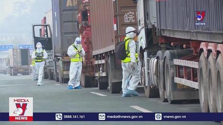 TP Móng Cái giữ vững vùng xanh an toàn, khơi thông hàng hóa XNK