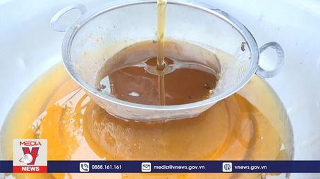 Mùa thu hoạch mật ong hoa nhãn Hưng Yên