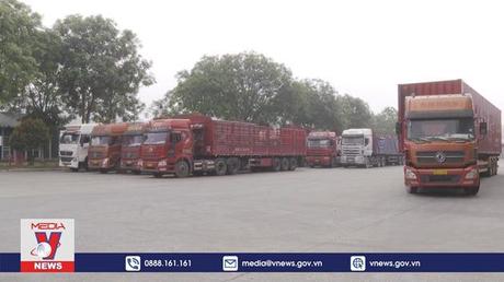Cửa khẩu Lào Cai từng bước khôi phục hoạt động XNK