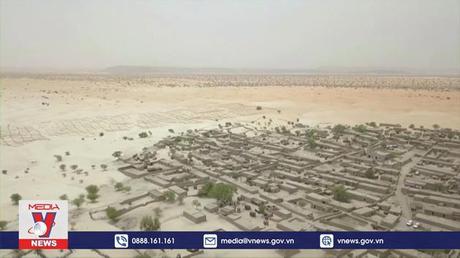 Báo động khủng hoảng cát toàn cầu