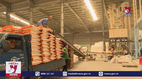 Gạo Việt Nam nhiều cơ hội vào Bắc Âu