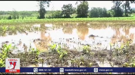 Biến đổi khí hậu khiến 4% GDP toàn cầu gặp rủi ro